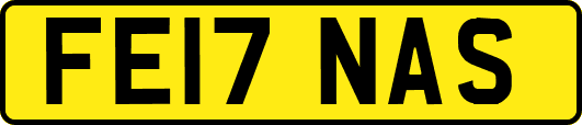 FE17NAS