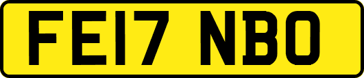 FE17NBO