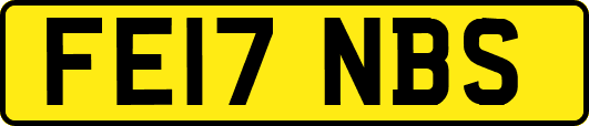 FE17NBS