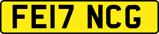 FE17NCG