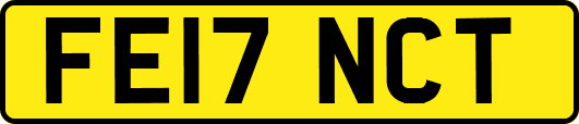 FE17NCT