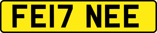 FE17NEE