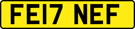 FE17NEF