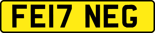 FE17NEG