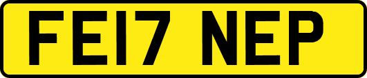 FE17NEP