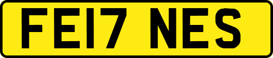 FE17NES