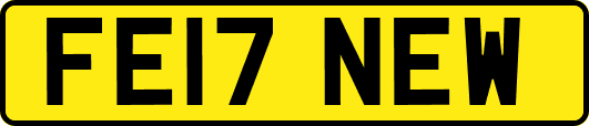 FE17NEW