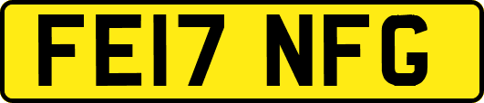FE17NFG
