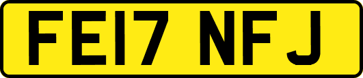 FE17NFJ