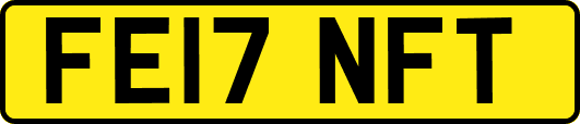 FE17NFT