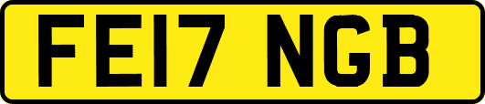 FE17NGB
