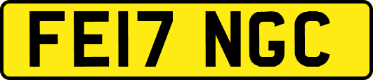 FE17NGC