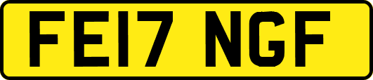 FE17NGF