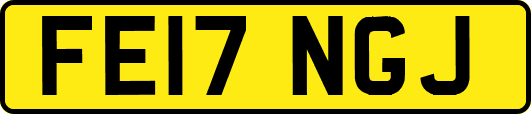 FE17NGJ