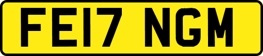 FE17NGM