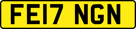 FE17NGN