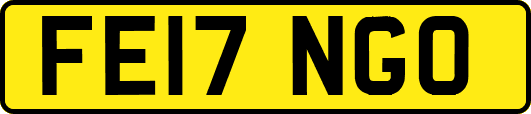 FE17NGO