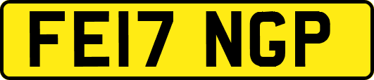 FE17NGP