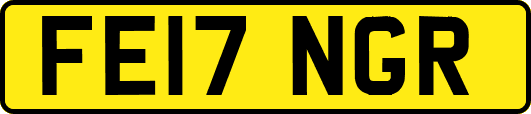 FE17NGR