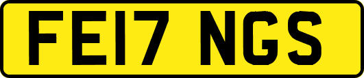 FE17NGS