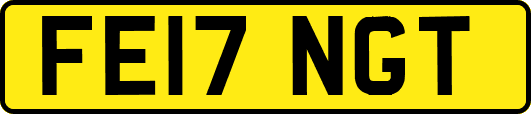 FE17NGT
