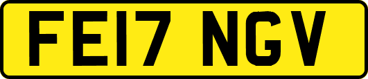 FE17NGV