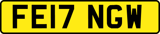FE17NGW