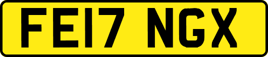 FE17NGX