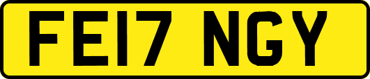 FE17NGY