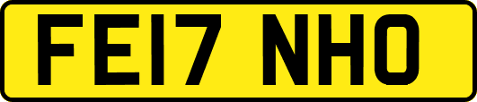 FE17NHO