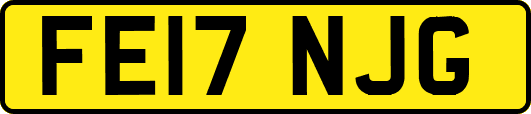 FE17NJG