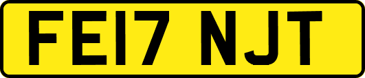 FE17NJT
