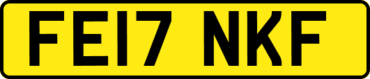 FE17NKF