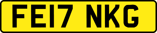 FE17NKG