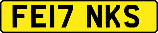 FE17NKS