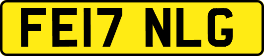 FE17NLG