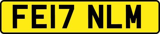 FE17NLM