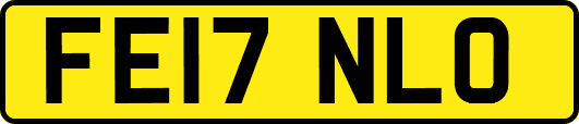 FE17NLO