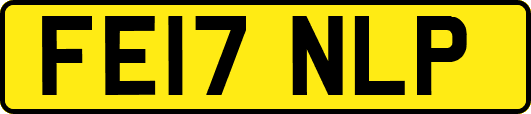 FE17NLP