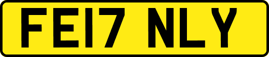 FE17NLY