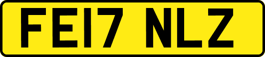 FE17NLZ