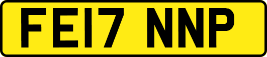 FE17NNP