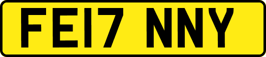 FE17NNY