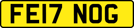 FE17NOG