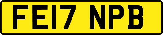 FE17NPB