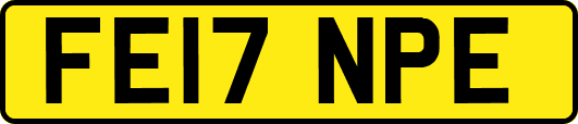 FE17NPE