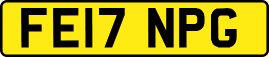 FE17NPG