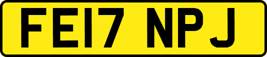 FE17NPJ