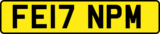 FE17NPM