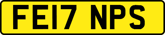 FE17NPS